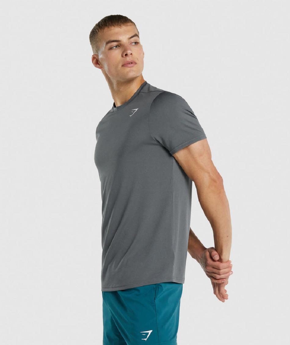 Gymshark Arrival Regular Fit Muške T Shirts Sive | HR 2437ILH